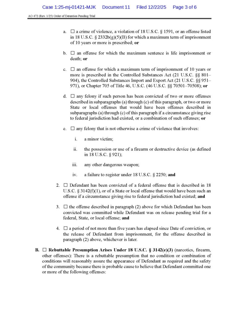 the federal government's 2025 order remanding luke wenke without bail