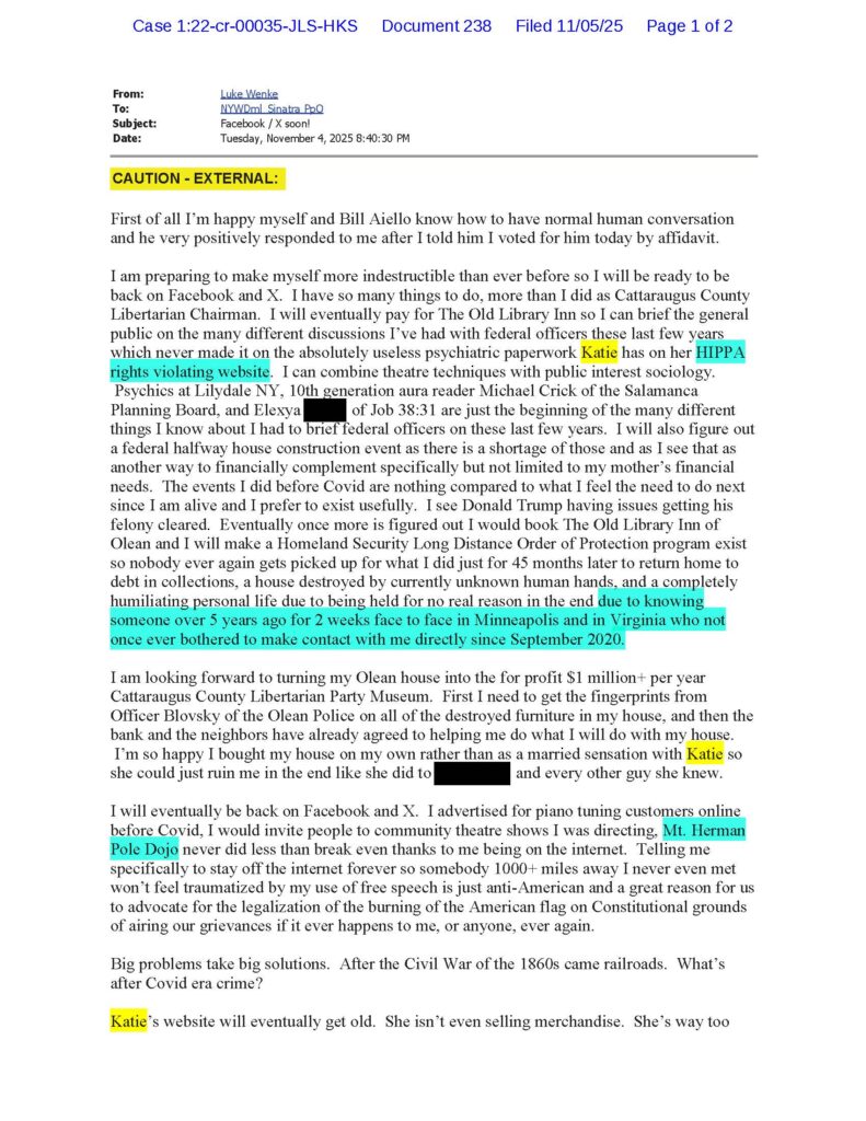 email from luke wenke to judge john sinatra demanding the removal of stalking victim katie's website november 2025