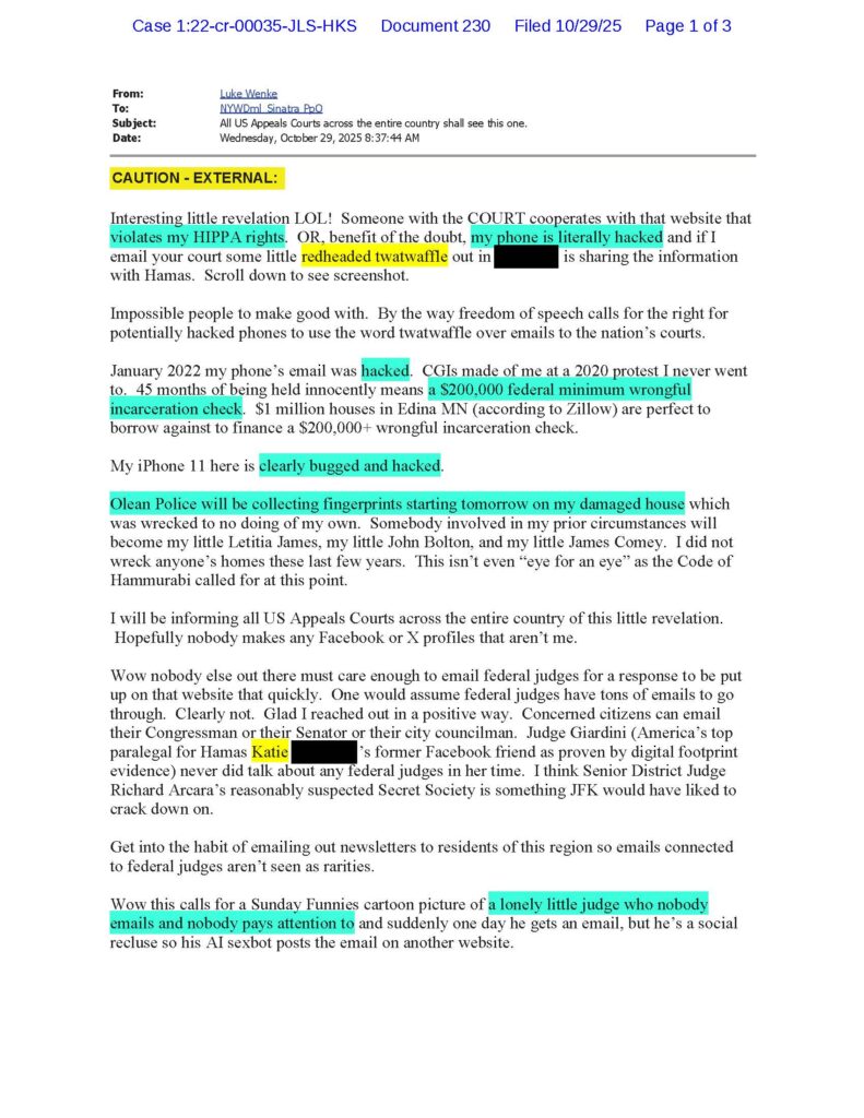 abrasive email from luke wenke to the honorable john l. sinatra jr; october 2025